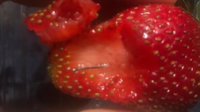 strawberry contamination